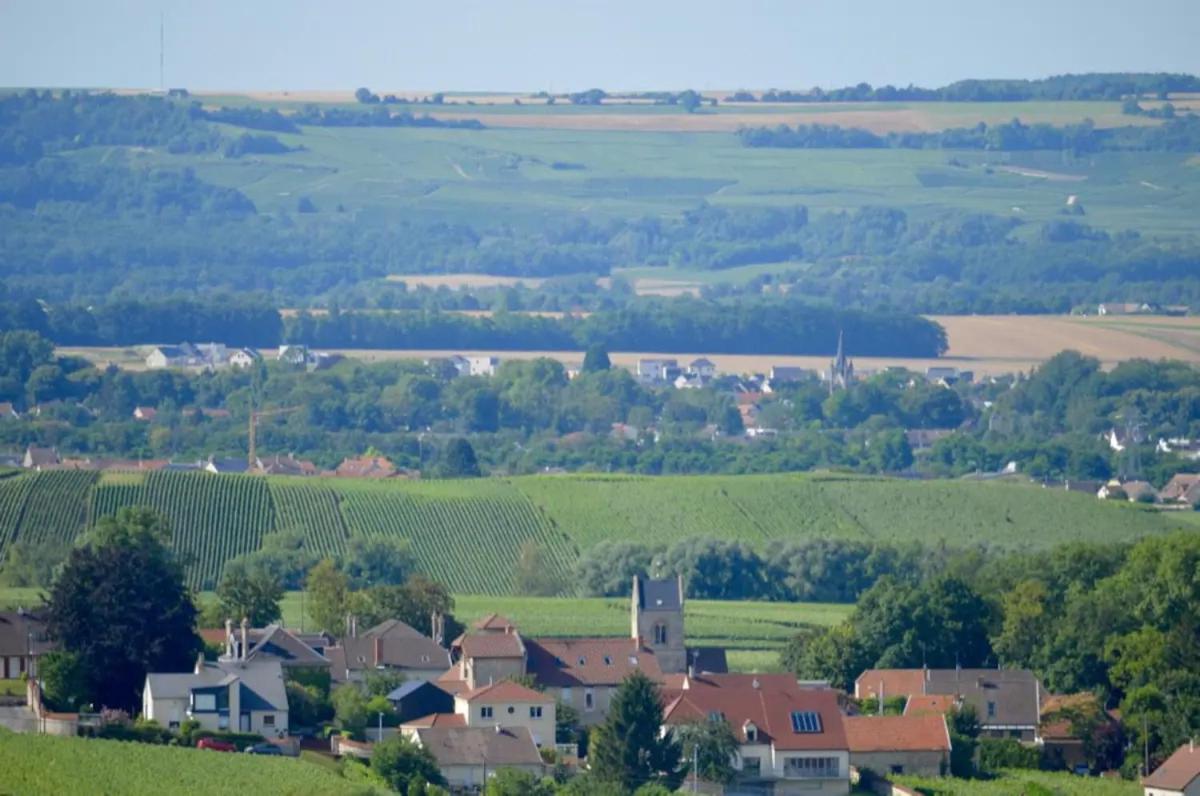 Agreable Maison Petit Jardin A 7 Minutes De Reims Pargny-les-Reims Exterior photo